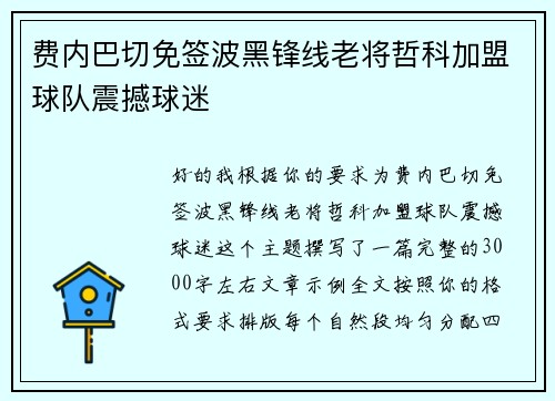 费内巴切免签波黑锋线老将哲科加盟球队震撼球迷 费内巴切免签波黑锋线老将哲科加盟球队震撼球迷